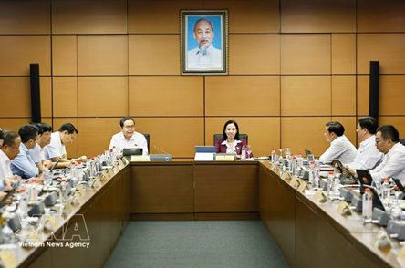 Lawmakers push to tie FDI incentives to technology transfer, output